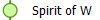  Spirit of W