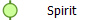  Spirit