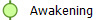  Awakening