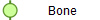  Bone