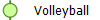  Volleyball