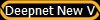 Deepnet New V